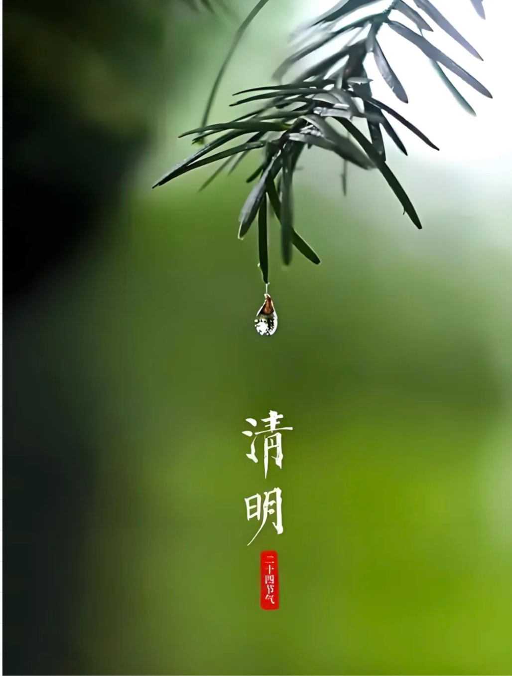 清明 qīng míng: pura luz; la primavera está en el aire, todo está lleno de vida.